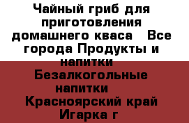 Чайный гриб для приготовления домашнего кваса - Все города Продукты и напитки » Безалкогольные напитки   . Красноярский край,Игарка г.